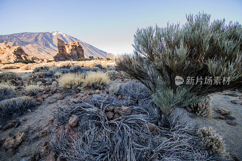 Roque Cinchado岩层全景与Pico del Teide